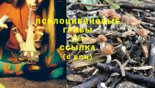 метамфетамин Аркадак