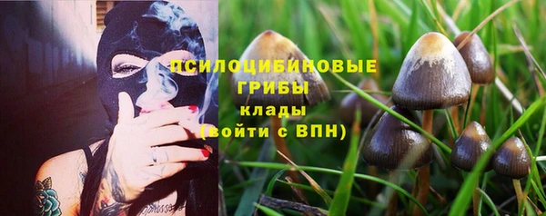 метамфетамин Аркадак