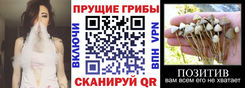 omg ONION  Микунь  Псилоцибиновые грибы мухоморы 